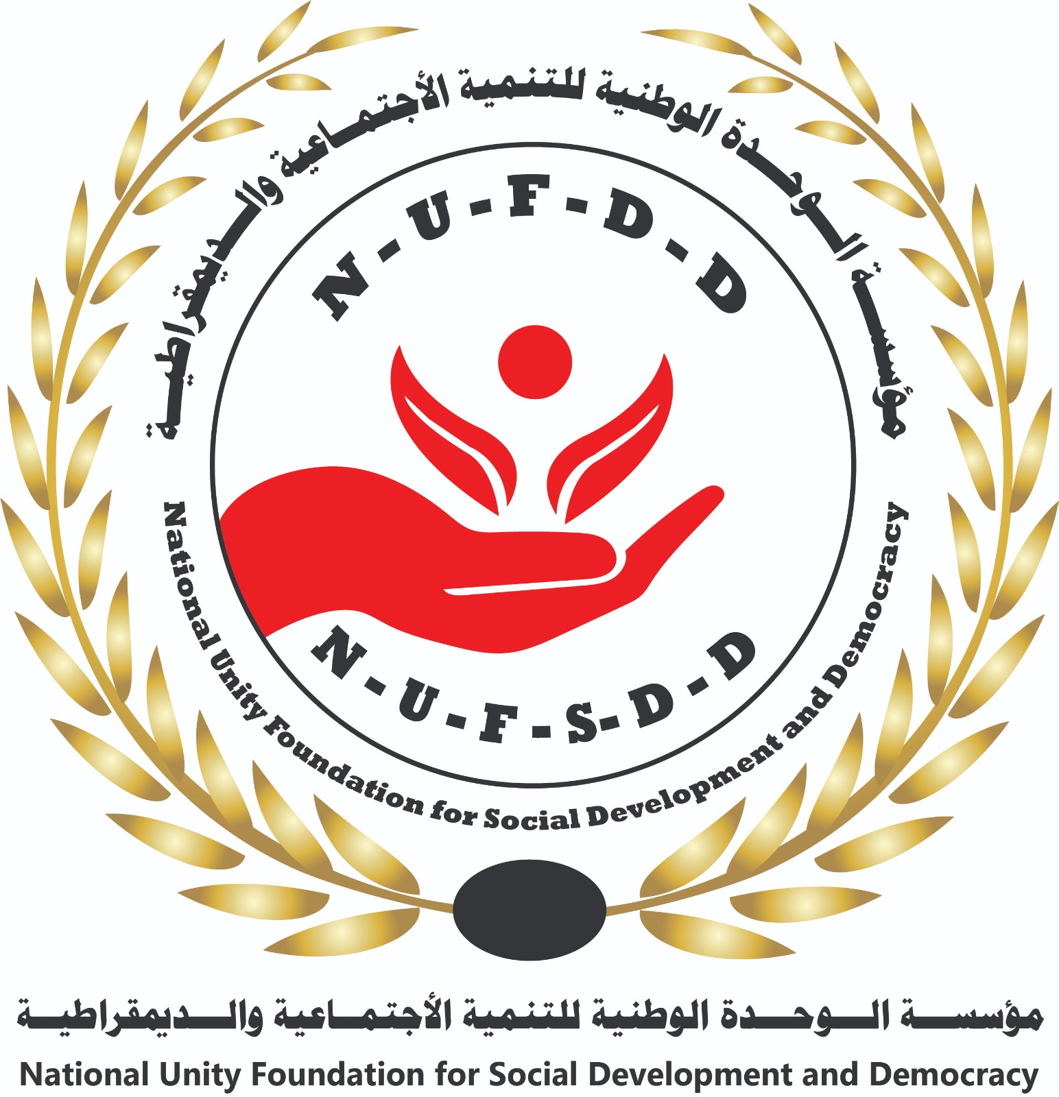 مؤسسة الوحدة الوطنية للتنمية لاجتماعية والديمقراطية